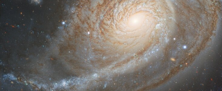 Galaxy NGC 772
