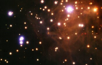 RCW 41