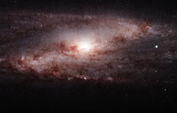 NGC 253
